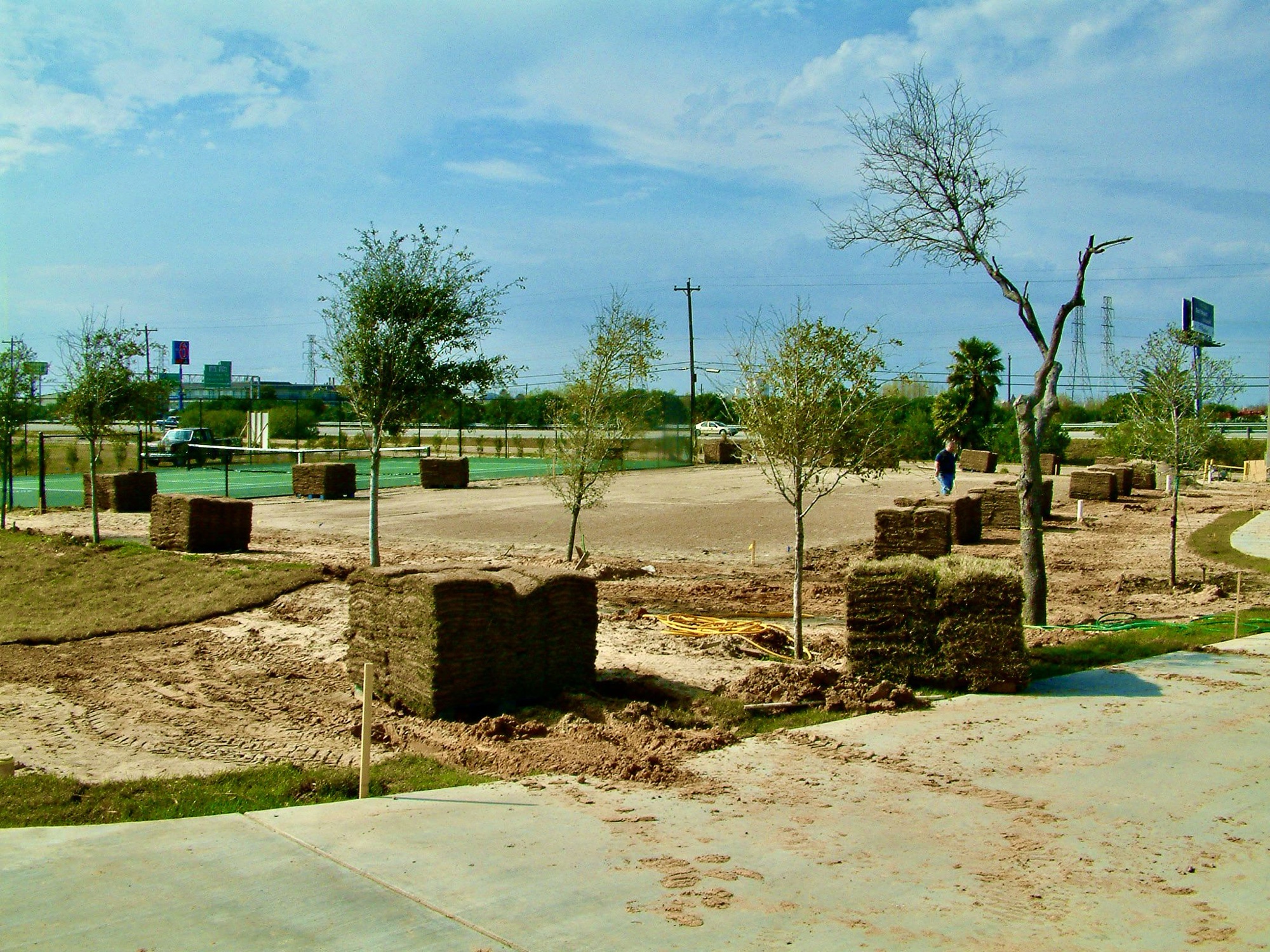 Pallets of sod on the first day